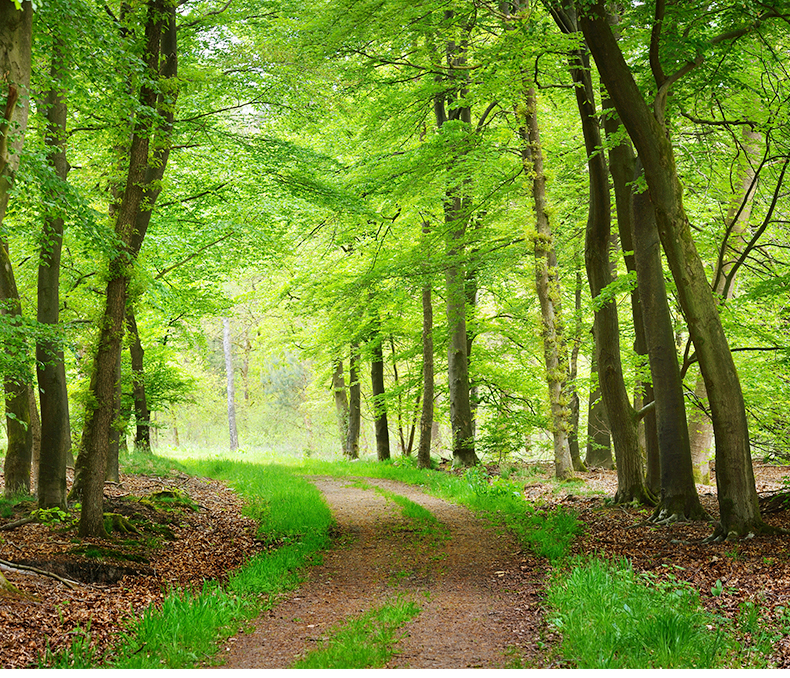 美國(guó)?？?_02_02